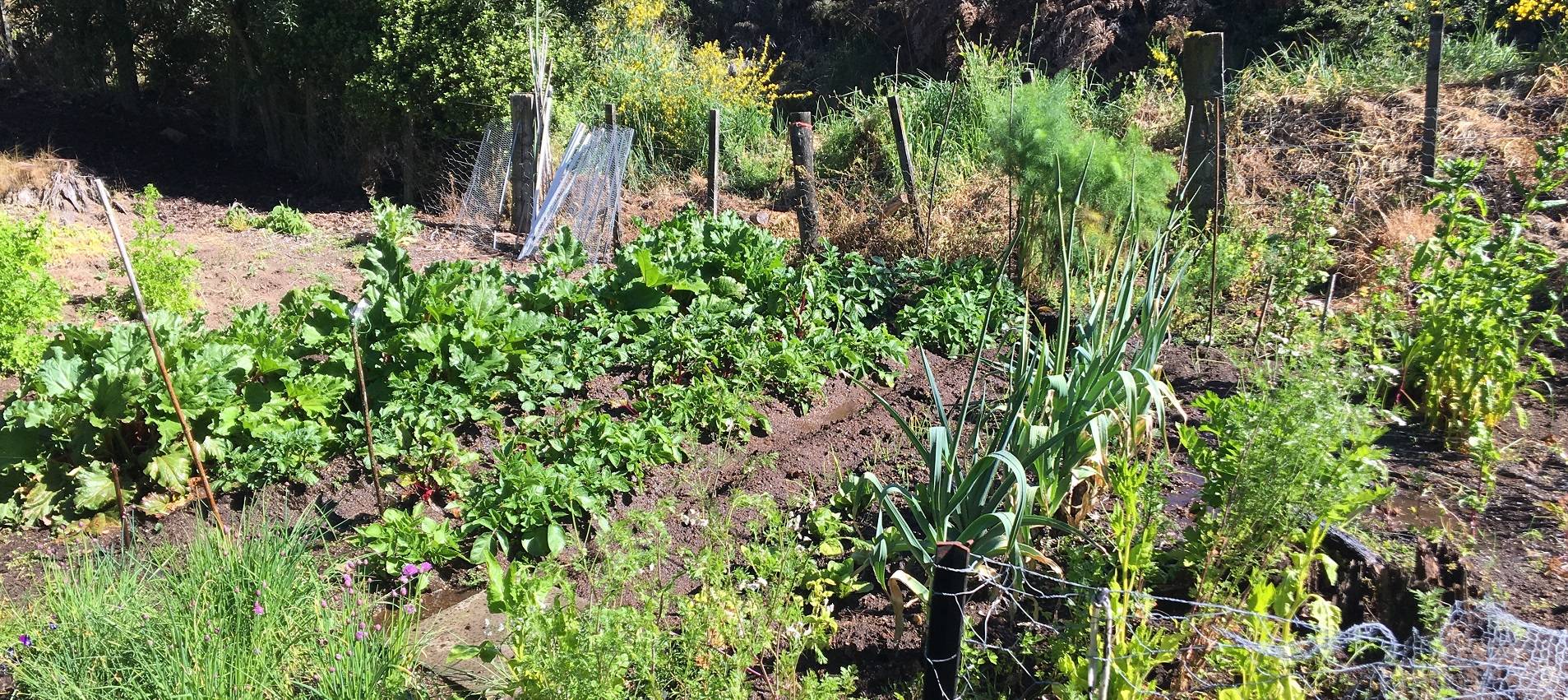 Sustainability | Whakaipo Lodge | New Zealand